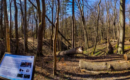 5_Kukliskiu piliakalnis (3)_.jpg